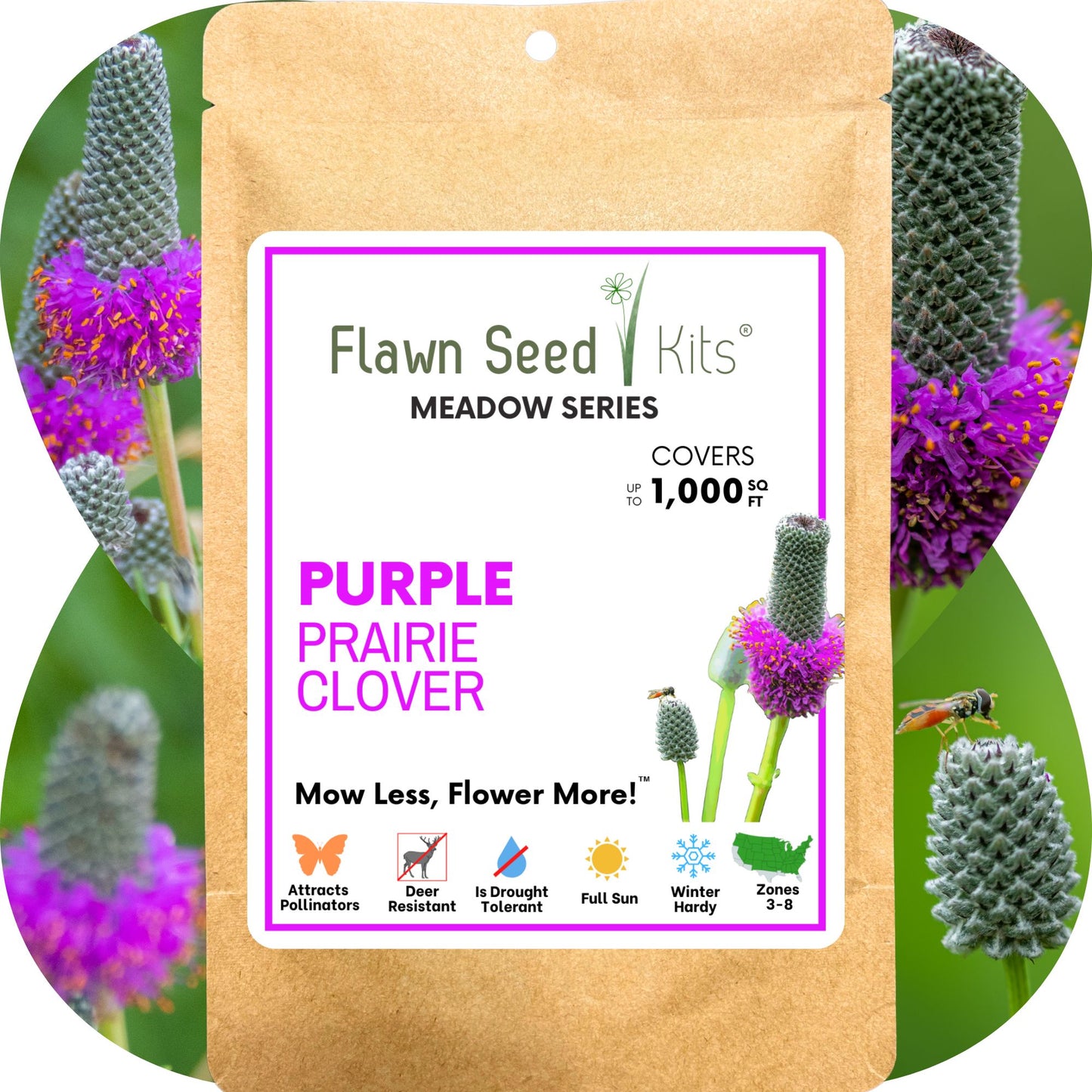 purple plant seeds Purple Prairie Clover Seed, 1000 sq ft 3 oz