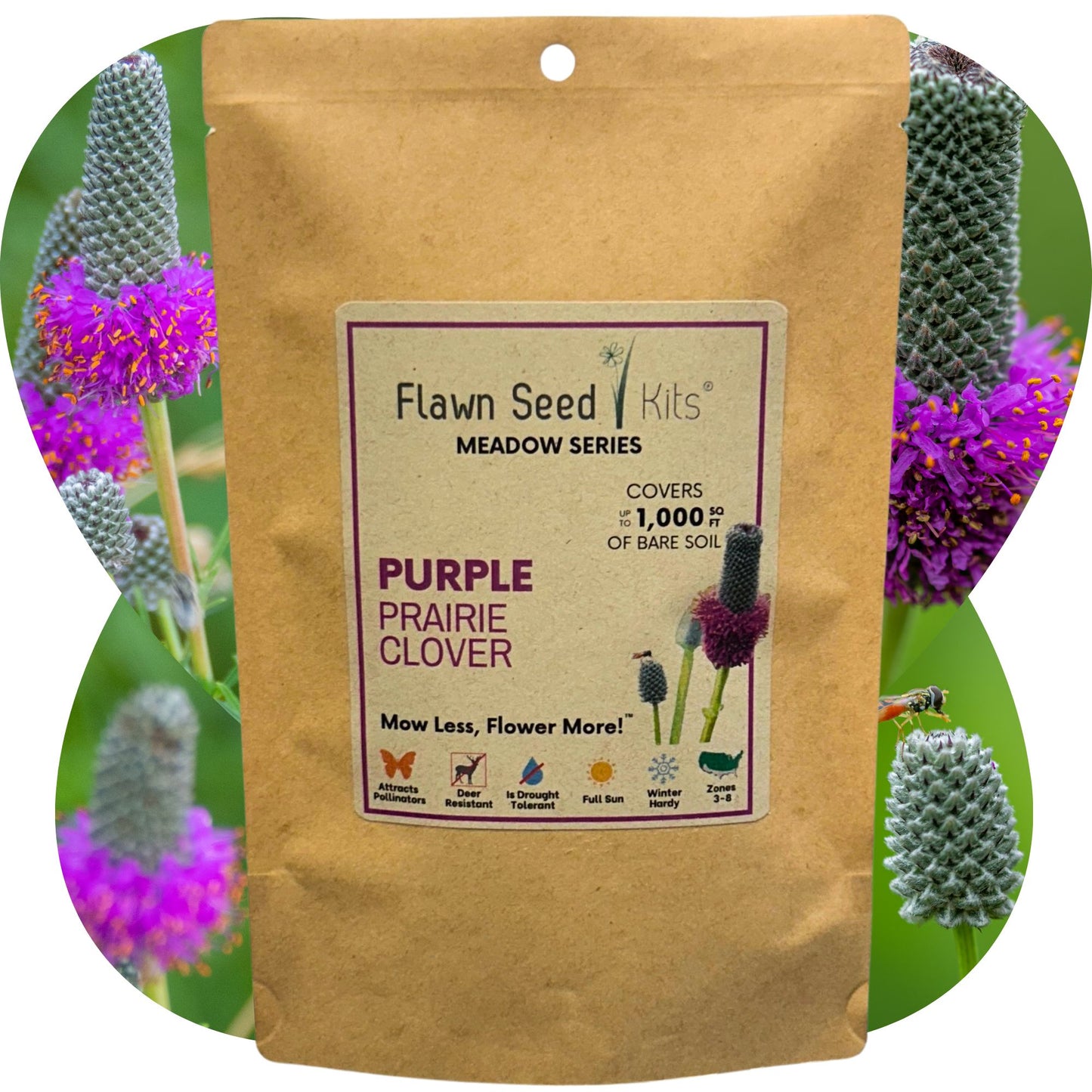 Purple Prairie Clover Seed