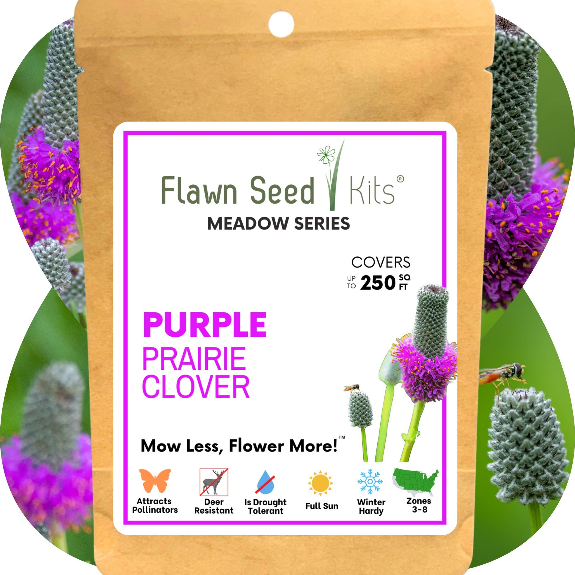 prairie flower seeds Purple Prairie Clover Seed, 1000 sq ft 3 oz