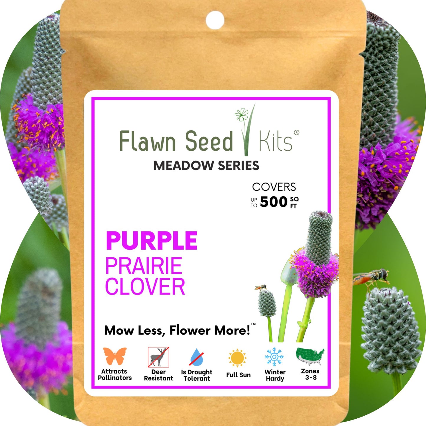 Purple Prairie Clover Seed
