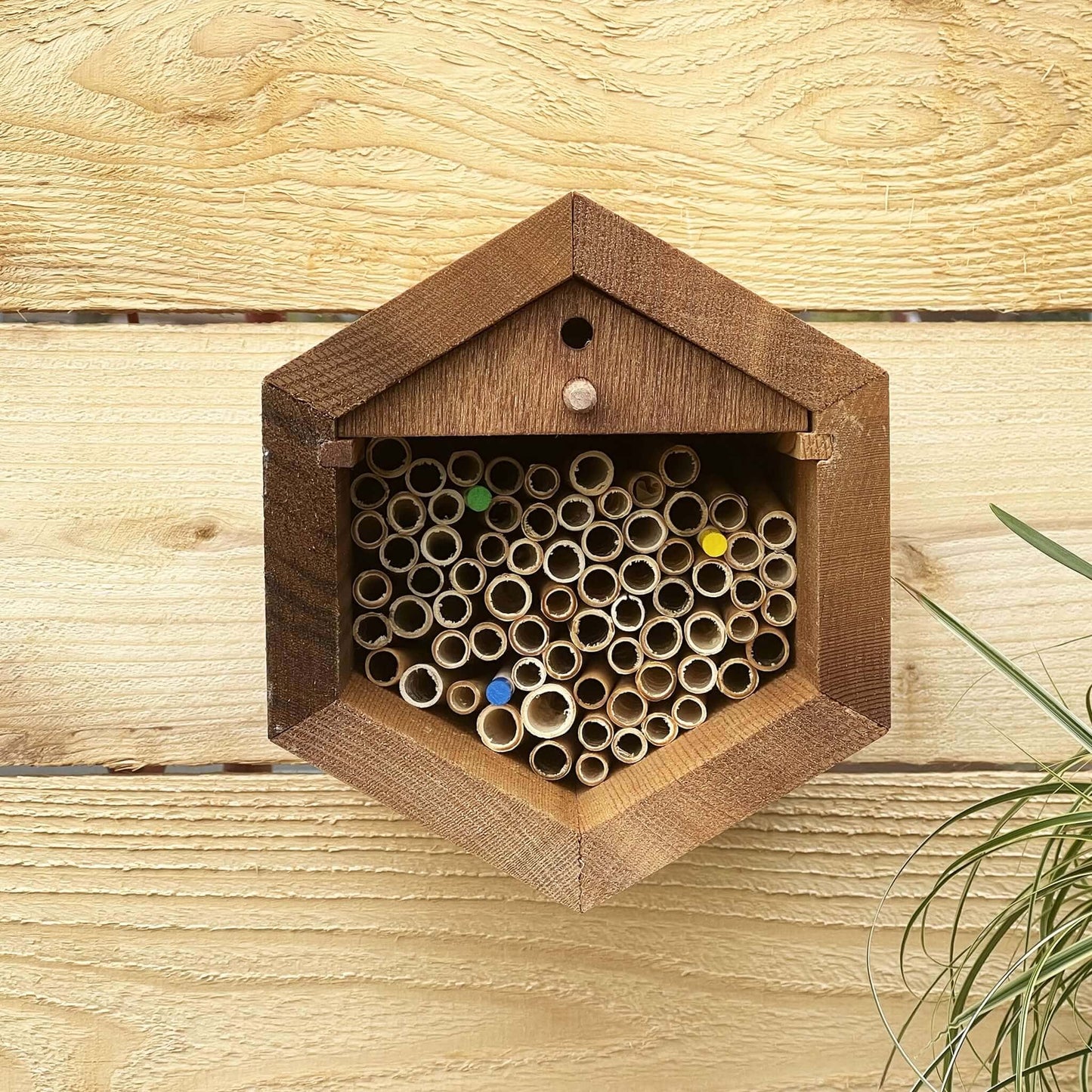 Cabana Bee House - Small Hex