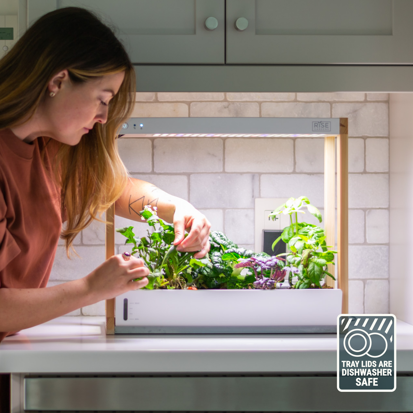 Personal Rise Garden