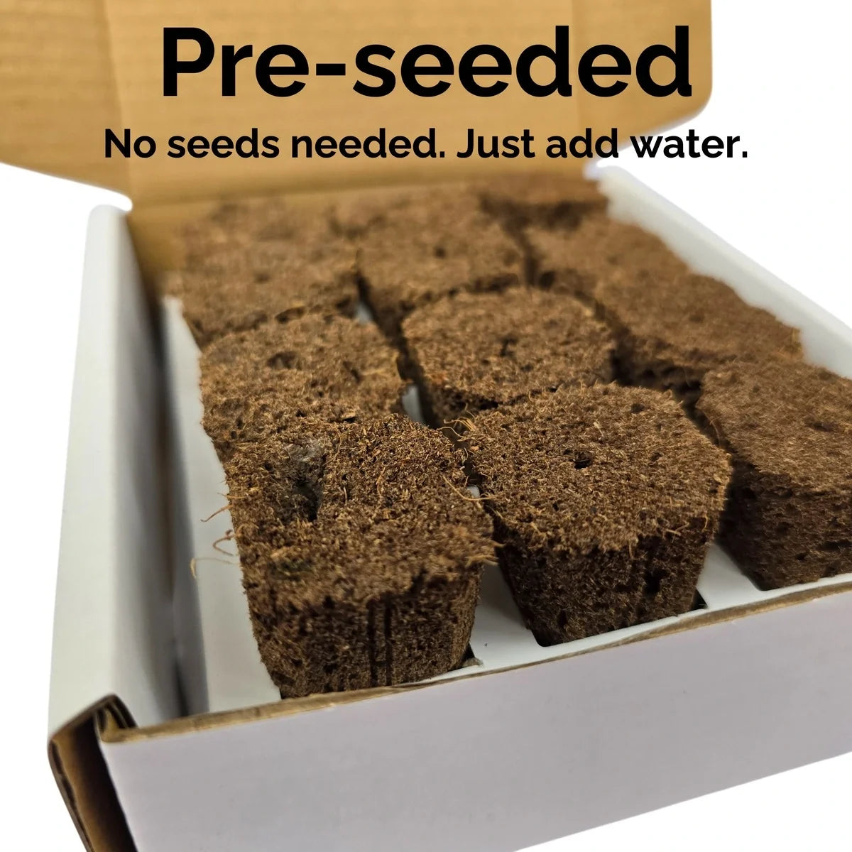Arugula (Astro) Seeds
