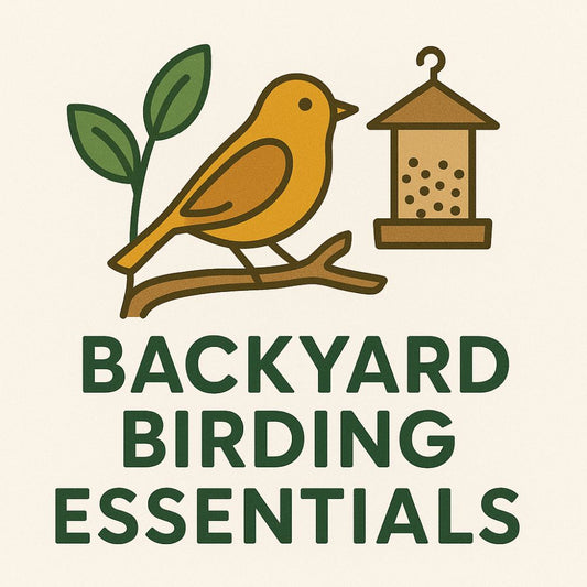 Backyard Birding Essentials Box