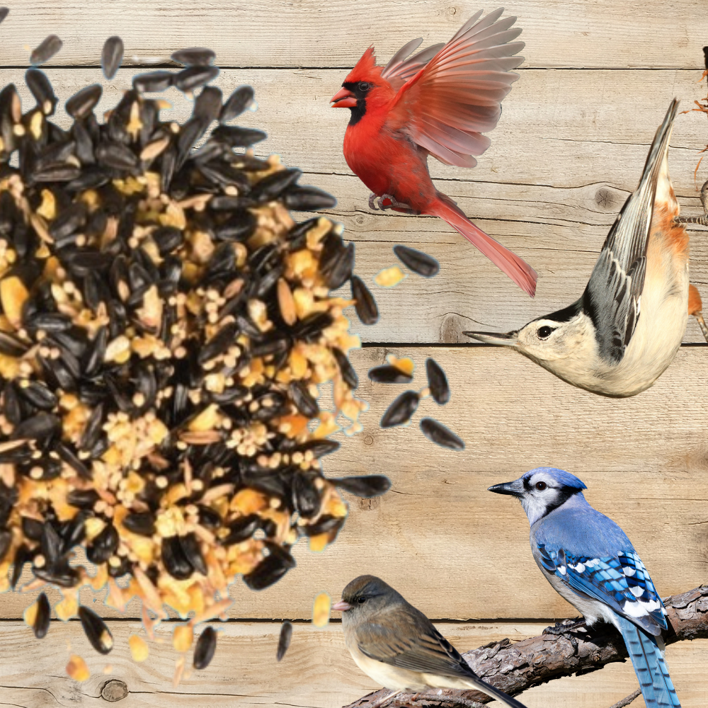 Premium Backyard Birder's Bird Seed Blend