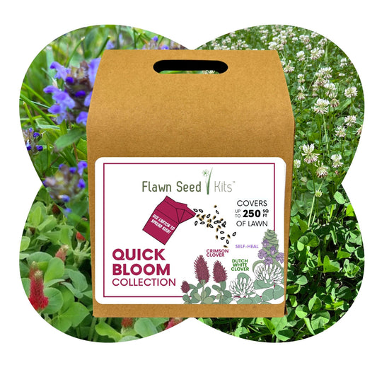 Quick Bloom Kit with Dutch White Clover, Crimson Clover & Self-Heal (LIMITED TIME)