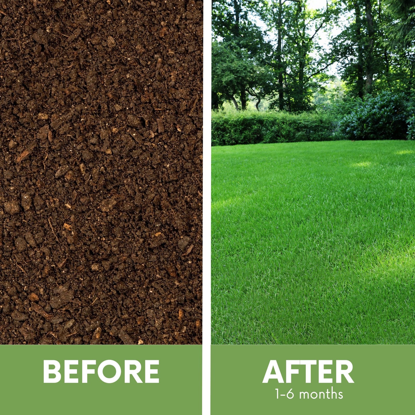 Ruff and Tough Grass Seed