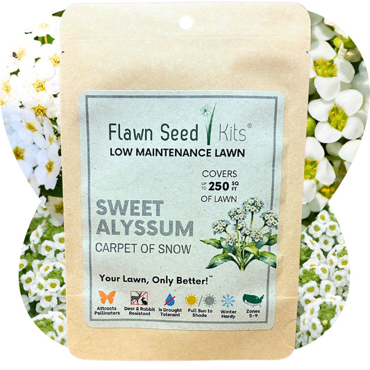 Case of Sweet Alyssum Carpet Of Snow Seed Pouches