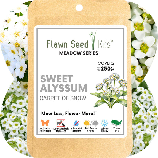 Sweet Alyssum Carpet Of Snow Seed Pouch