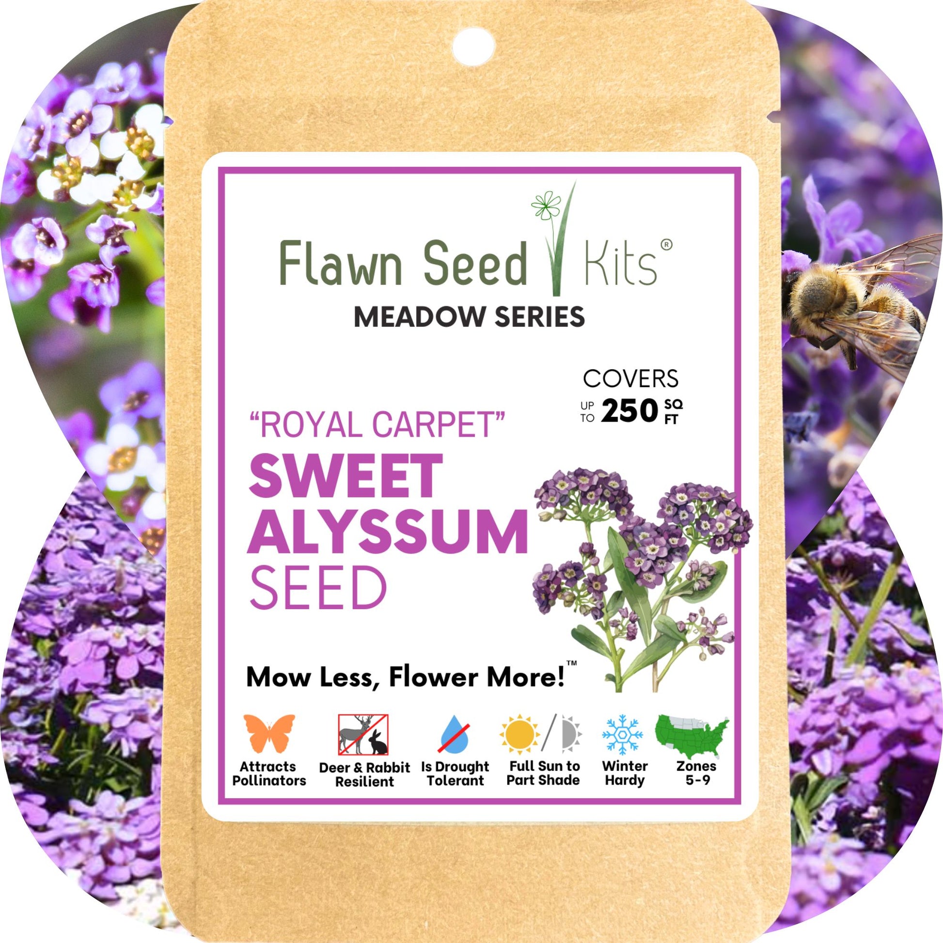 alyssum flower seeds Sweet Alyssum Royal Carpet Seed Pouch