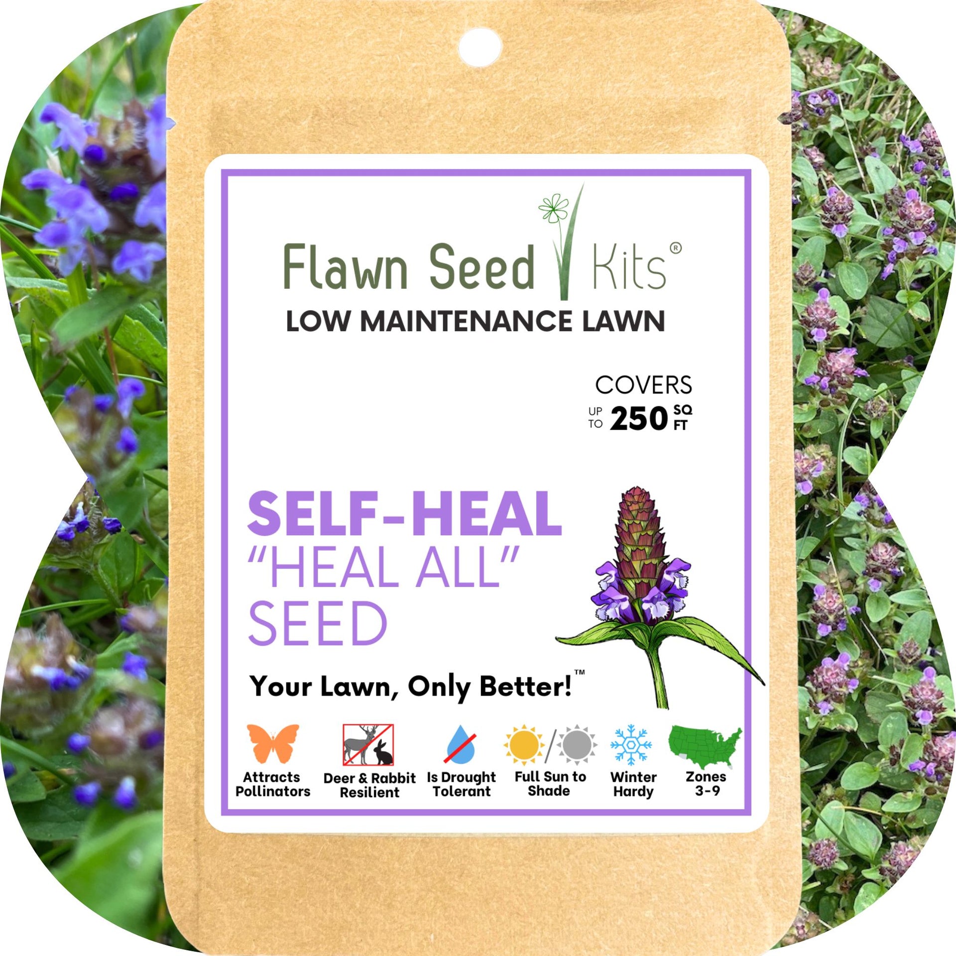 all seed plants are Flawn Seed Self-Heal Flowering Lawn Seed - Kid, Pet, Pollinator &  Eco-Friendly Grass Alternative