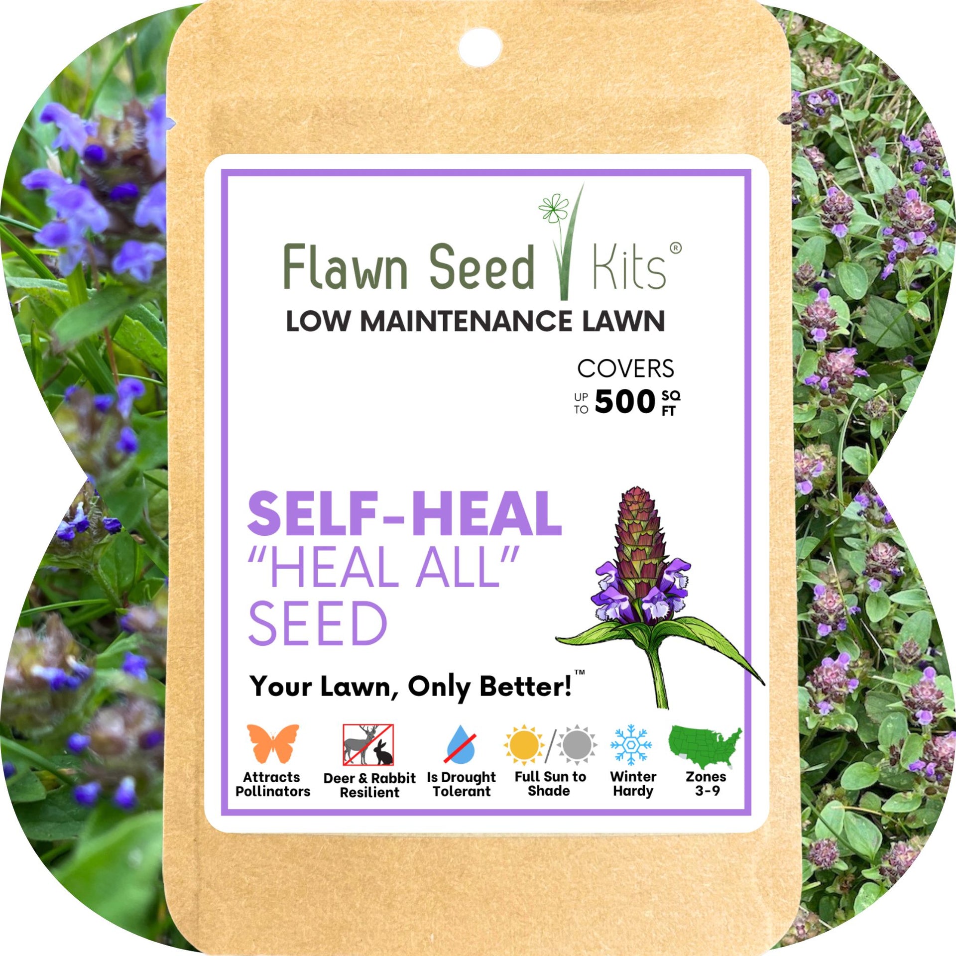 healing garden seeds Flawn Seed Self-Heal Flowering Lawn Seed - Kid, Pet, Pollinator &  Eco-Friendly Grass Alternative