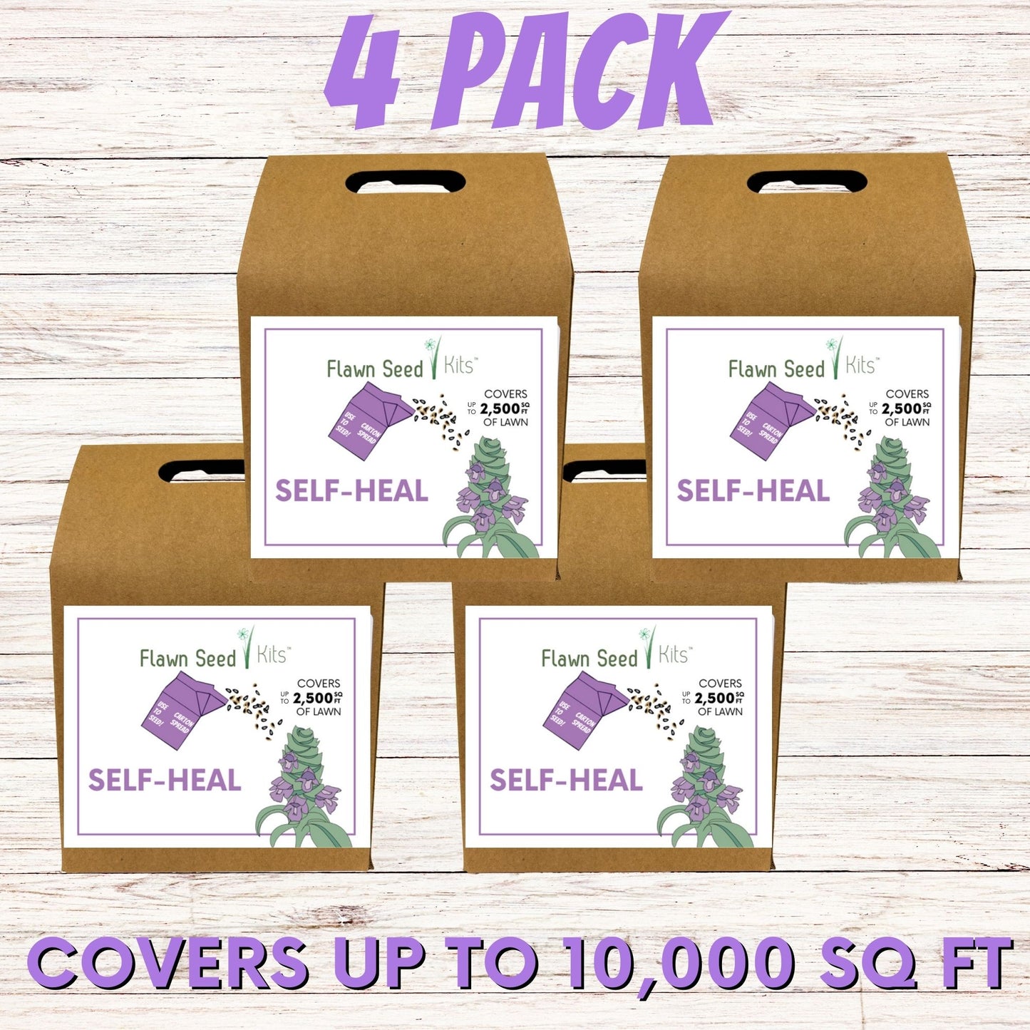 Self-Heal "Heal-All" Eco-Friendly Seeding Kit (Limited Time)