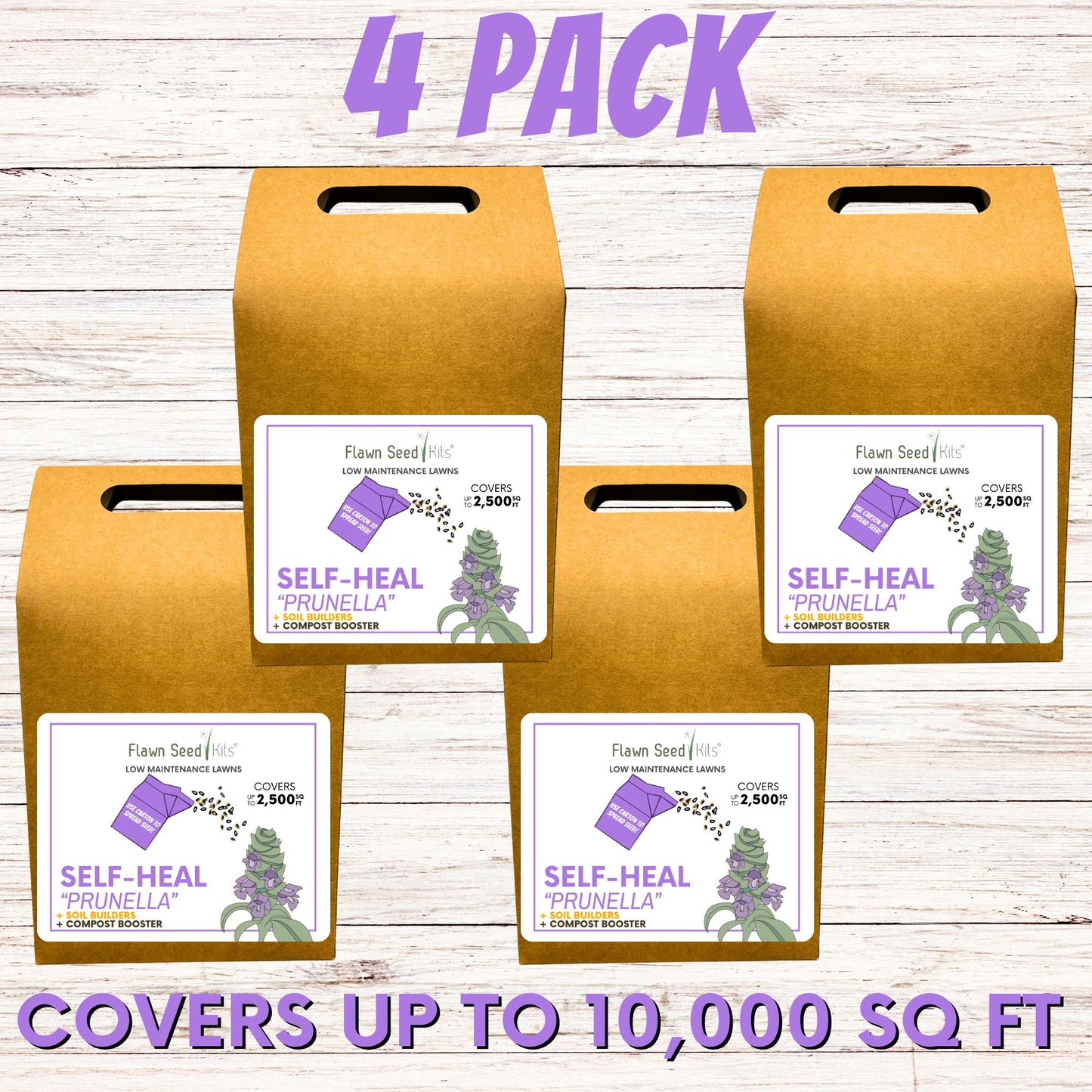 Self-Heal "Heal-All" Eco-Friendly Seeding Kit