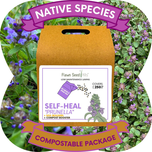 Self-Heal "Heal-All" Eco-Friendly Seeding Kit