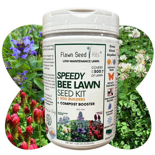 Speedy Bee Lawn Seed Kit