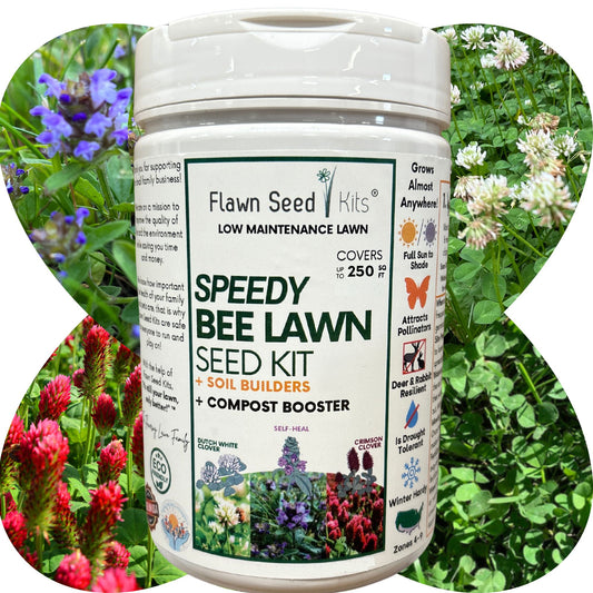 Speedy Bee Lawn Seed Kit