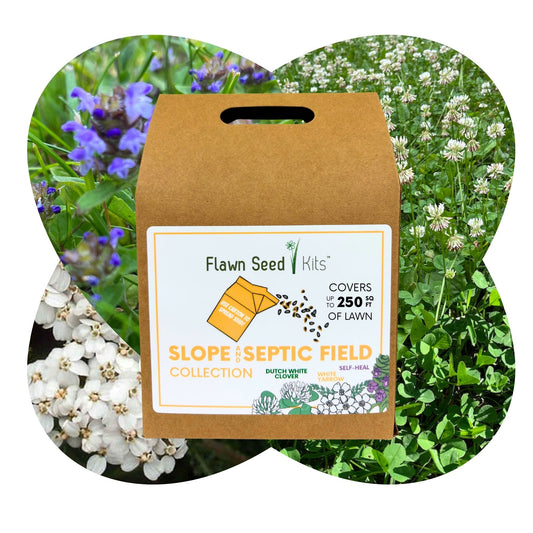 Slope/Septic System Kit with Dutch White Clover, Self-Heal & White Yarrow (LIMITED TIME)