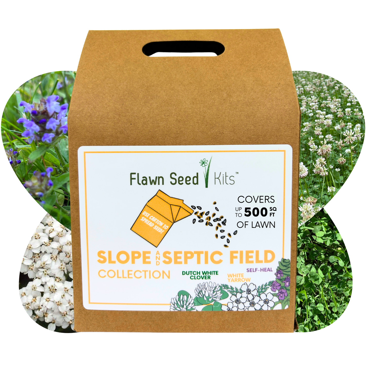 Slope/Septic System Kit with Dutch White Clover, Self-Heal & White Yarrow