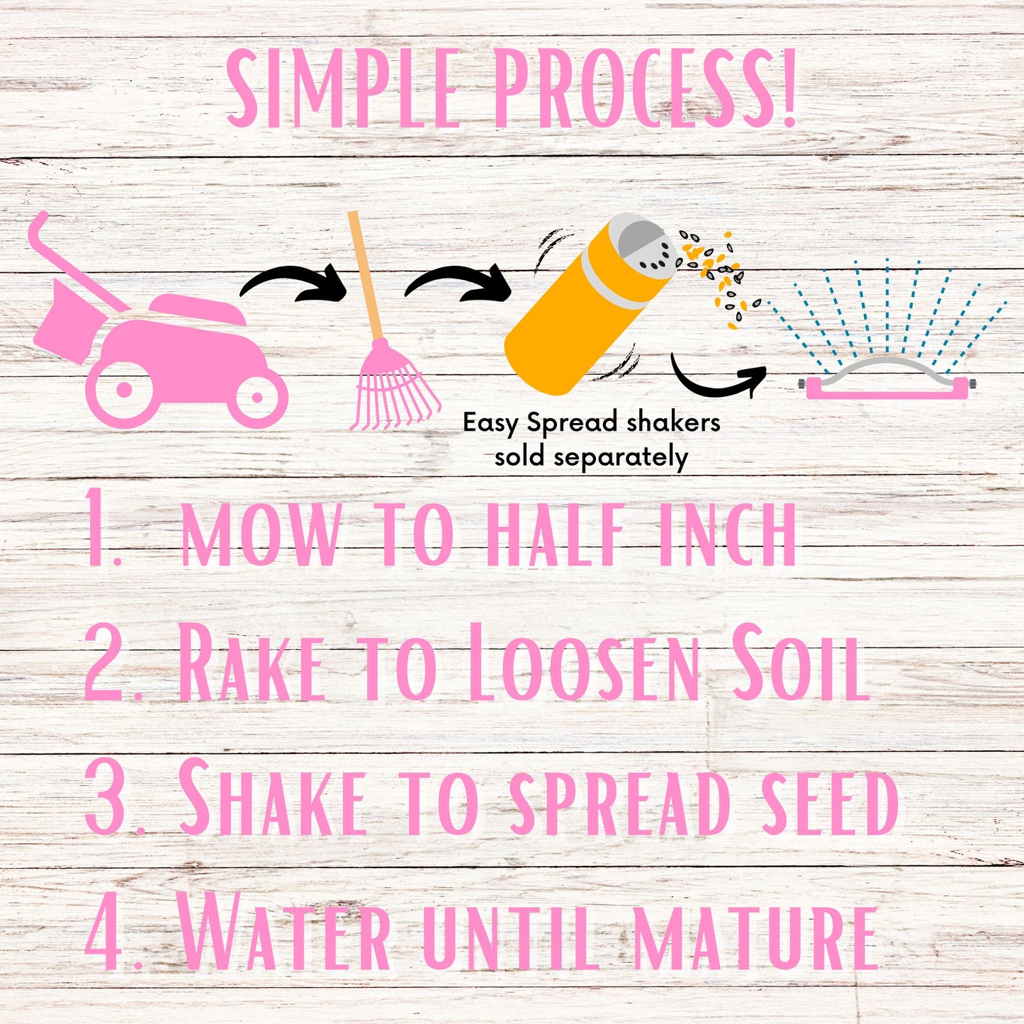 English Daisy 'Mixed' Seed Pouch