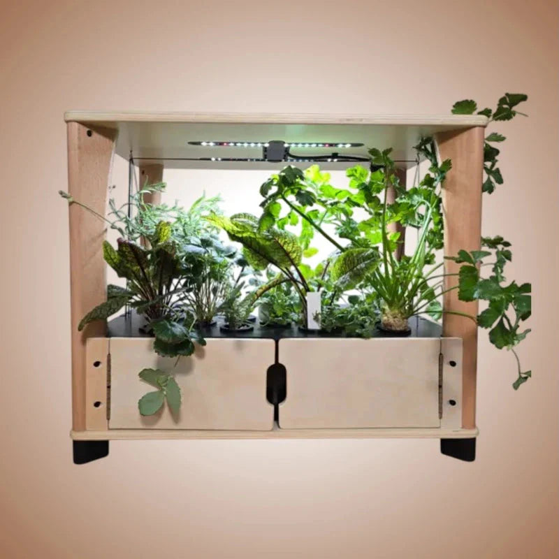 Aquager Home Farm — 24 Plants