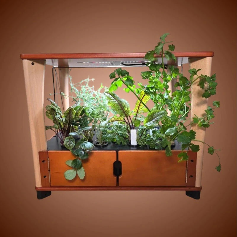 Aquager Home Farm — 24 Plants