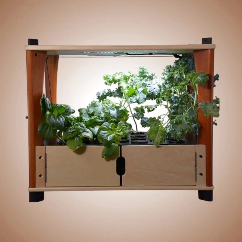 Aquager Home Farm — 24 Plants