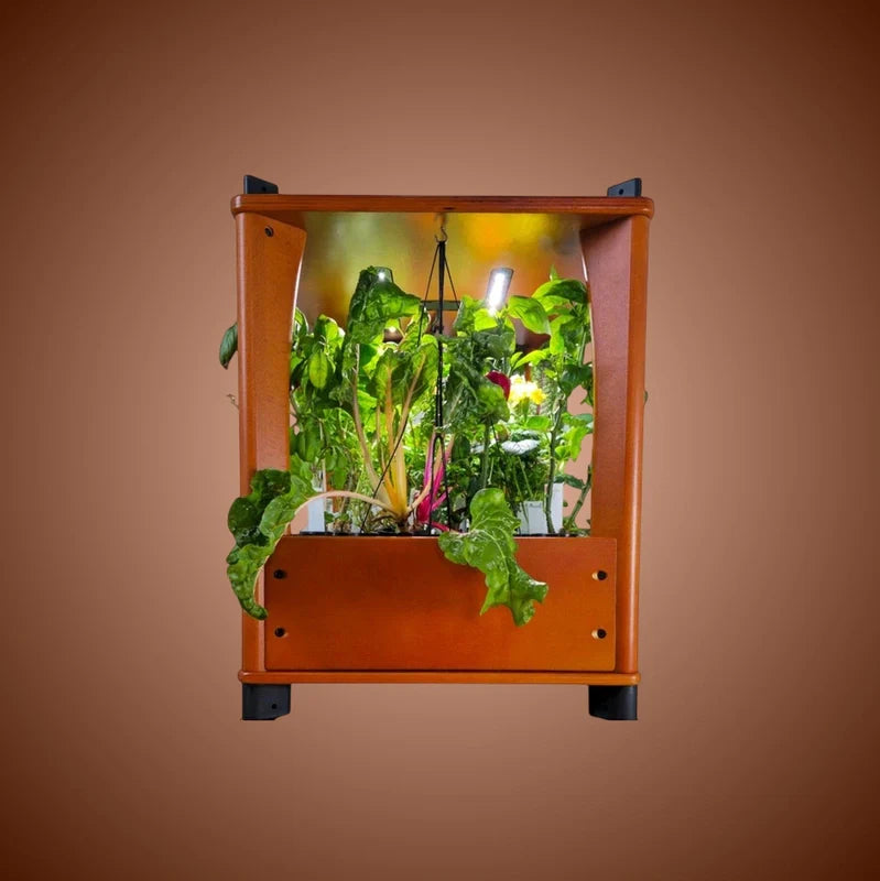 Aquager Home Farm — 24 Plants