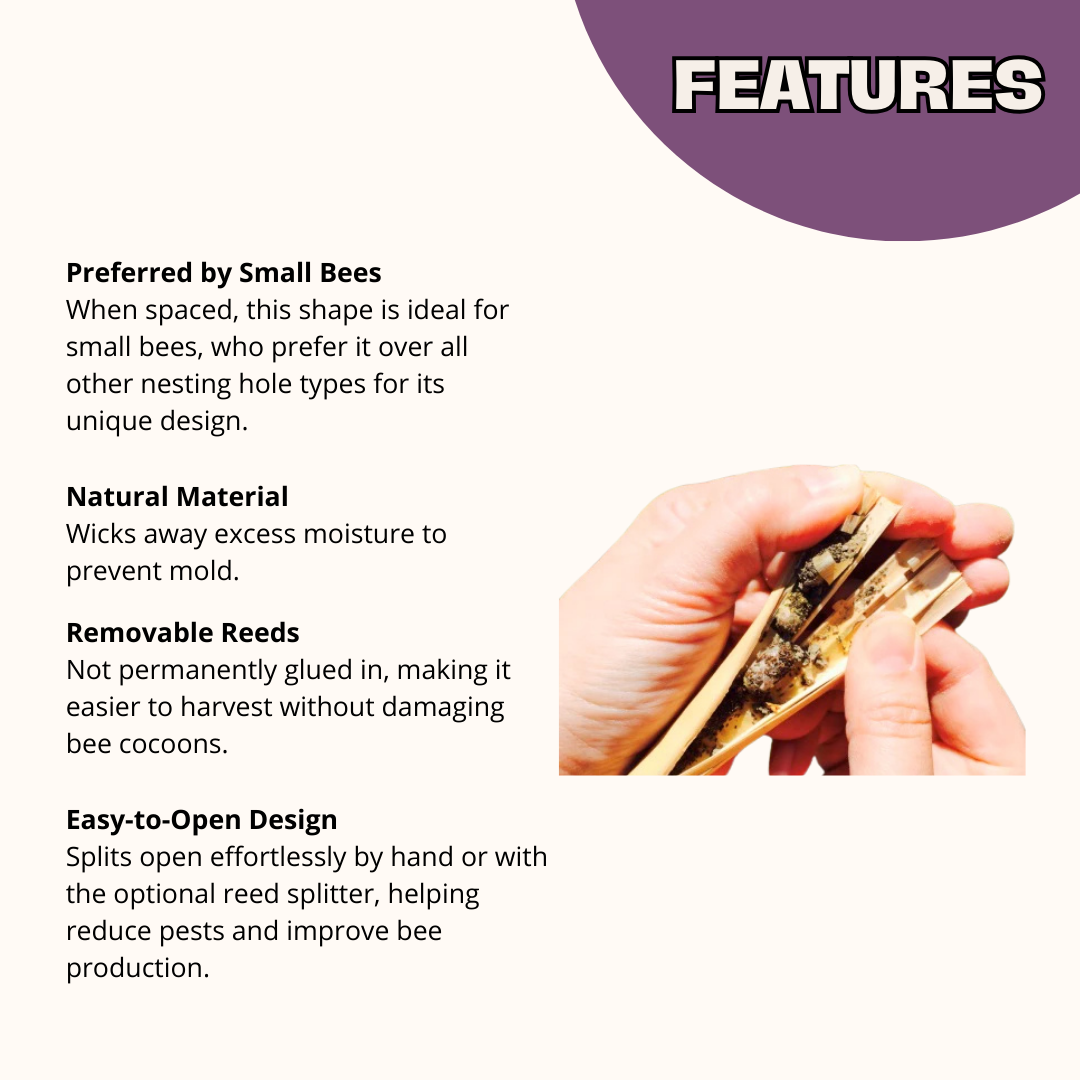 Wild Bee Discovery Cabana House & Pollinator Pack