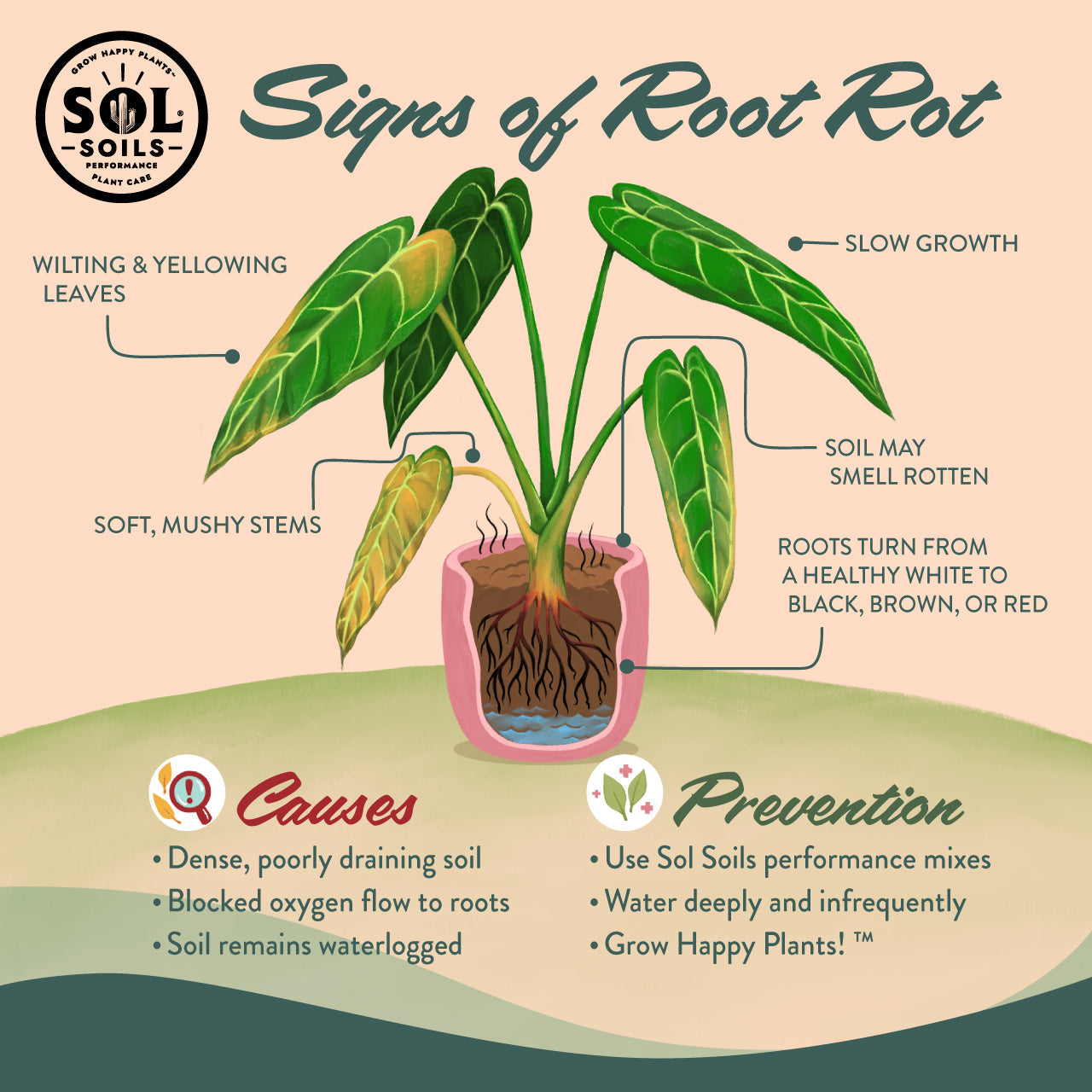 Houseplant Chunky Mix – Flawn Seed Kits