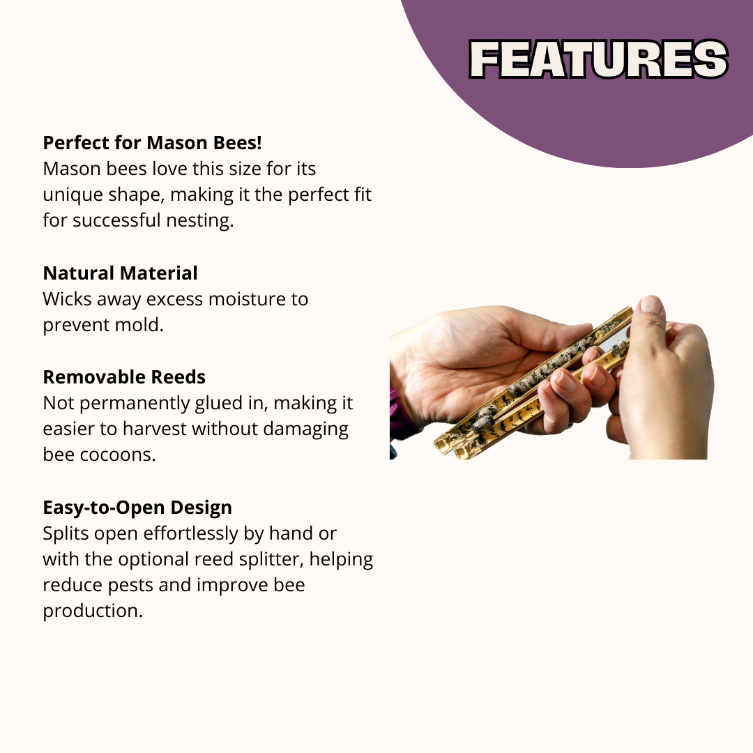 Spring Natural Reeds for Mason Bees - 8mm