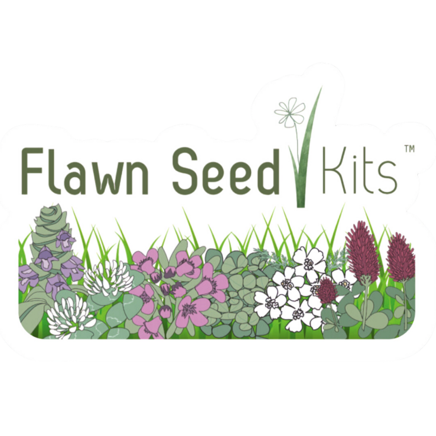 Flawn Seed Kits 2.5" Sticker