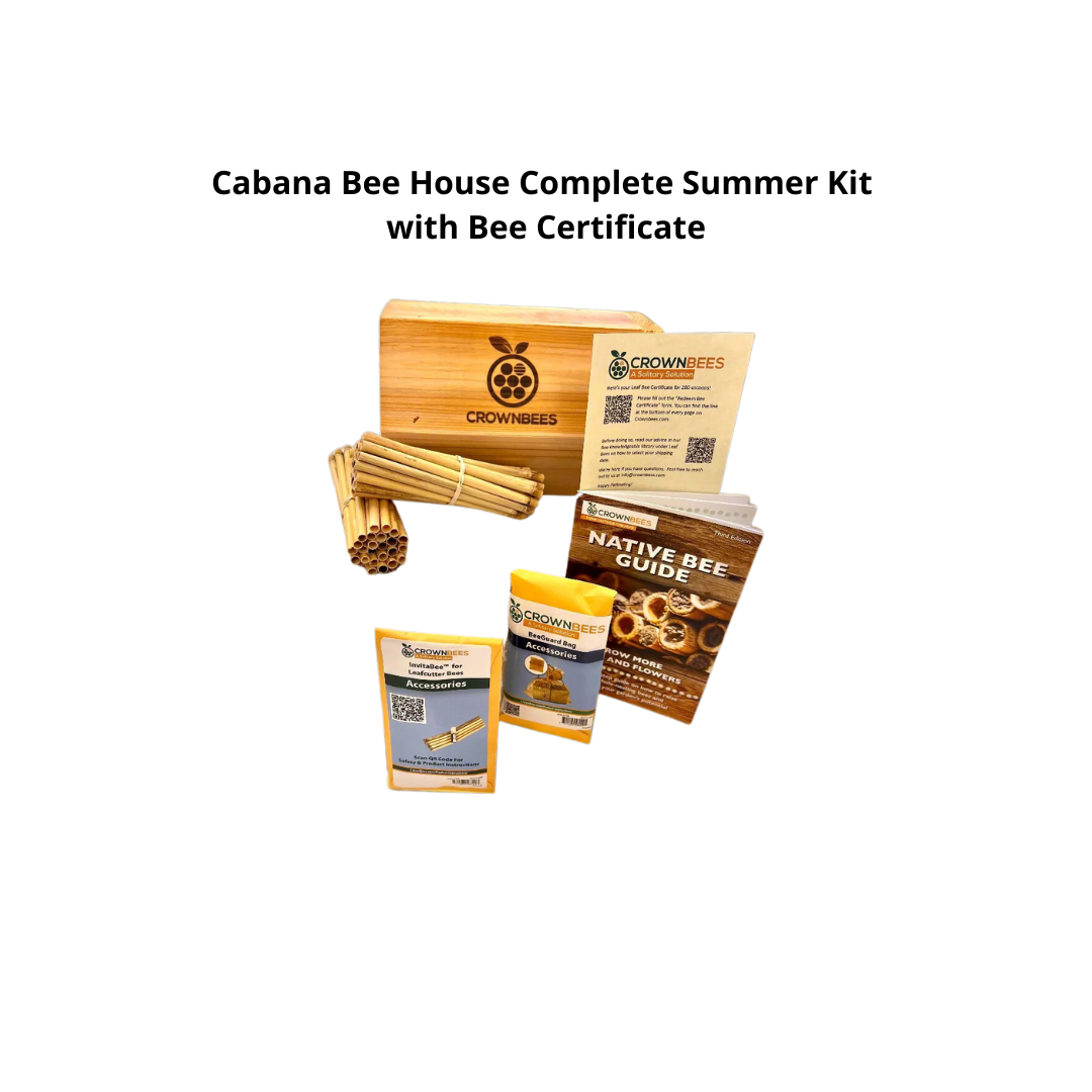 Cabana Bee House & Complete Kit with Bee Certificate