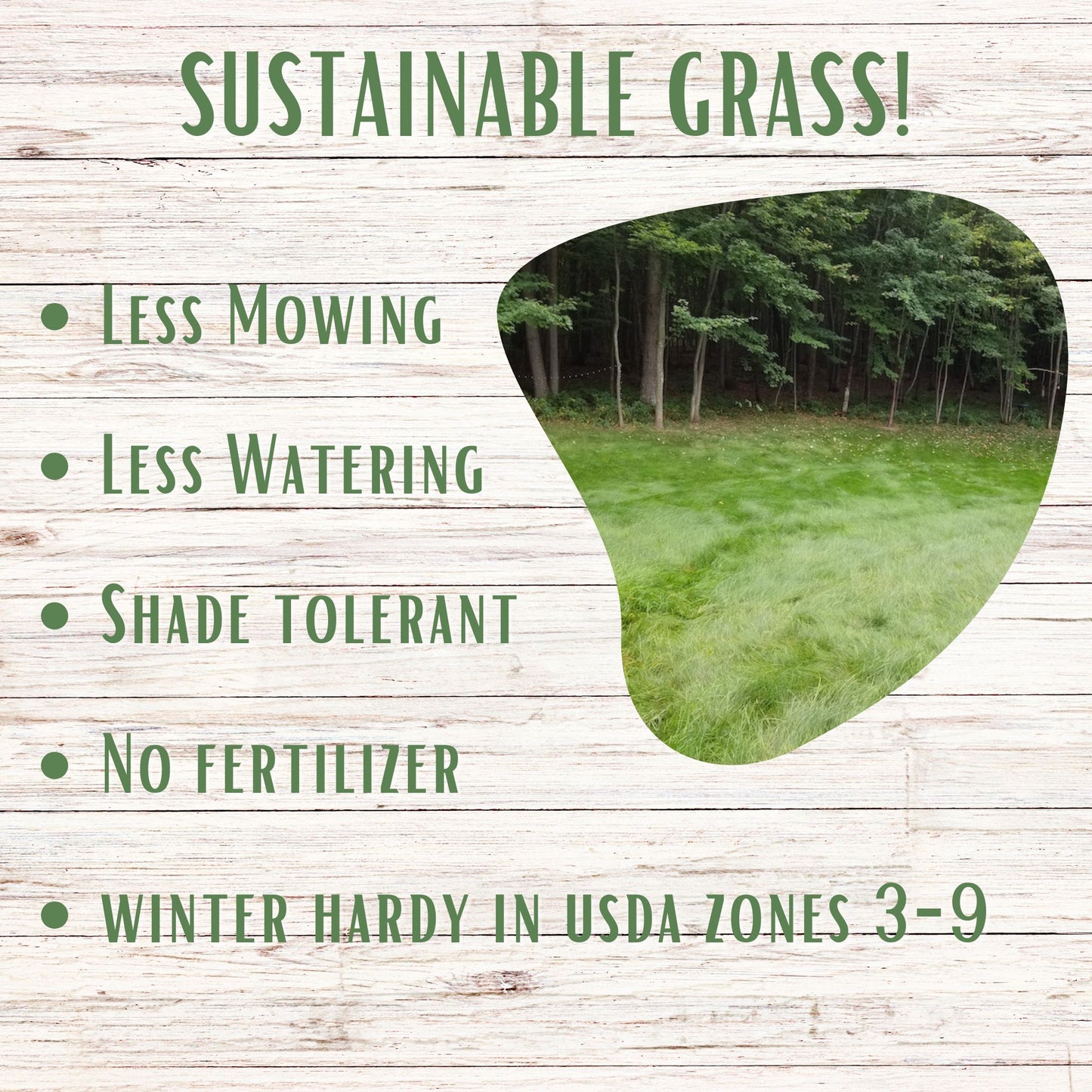 Mow Less Grass Seed Shaker