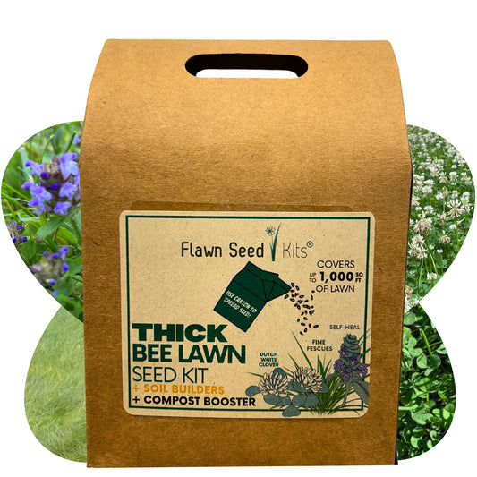 Thick Bee Lawn Seed Kit Eco-Spread Carton