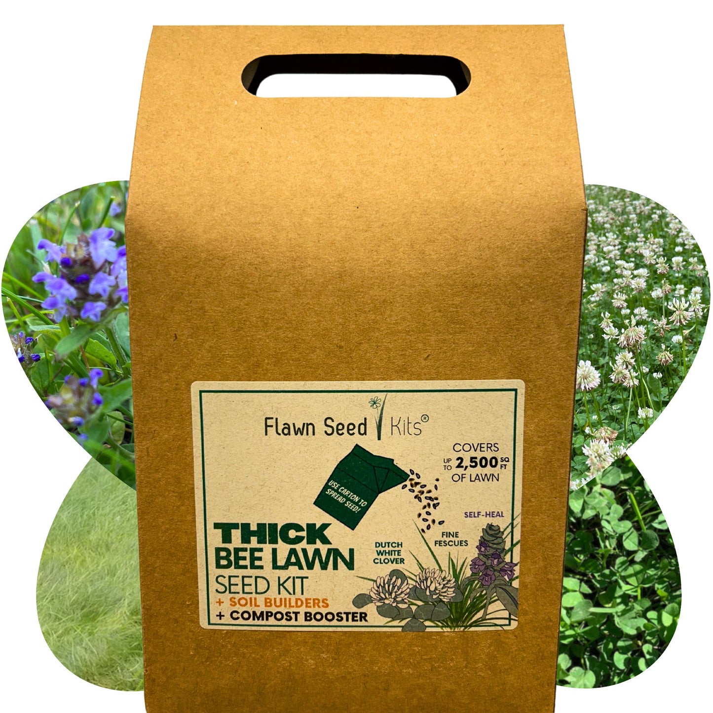 Thick Bee Lawn Seed Kit Eco-Spread Carton