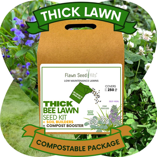 Thick Bee Lawn Seed Kit Eco-Spread Carton
