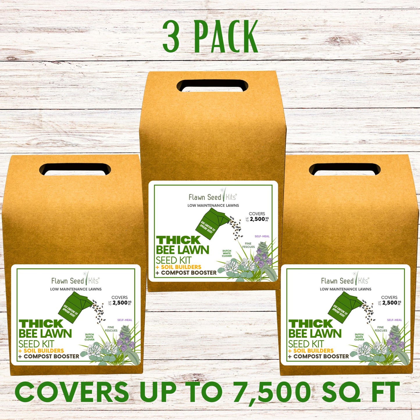 Thick Bee Lawn Seed Kit Eco-Spread Carton