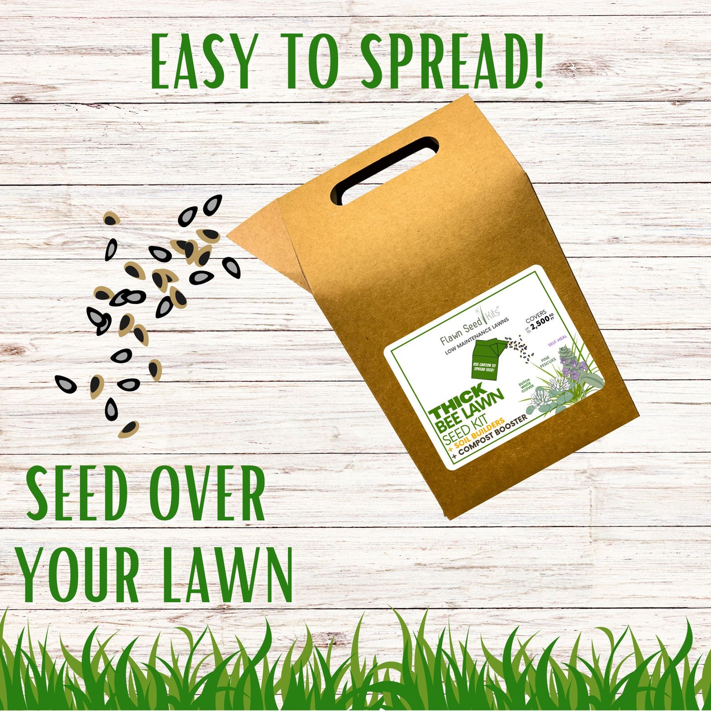 Thick Bee Lawn Seed Kit Eco-Spread Carton