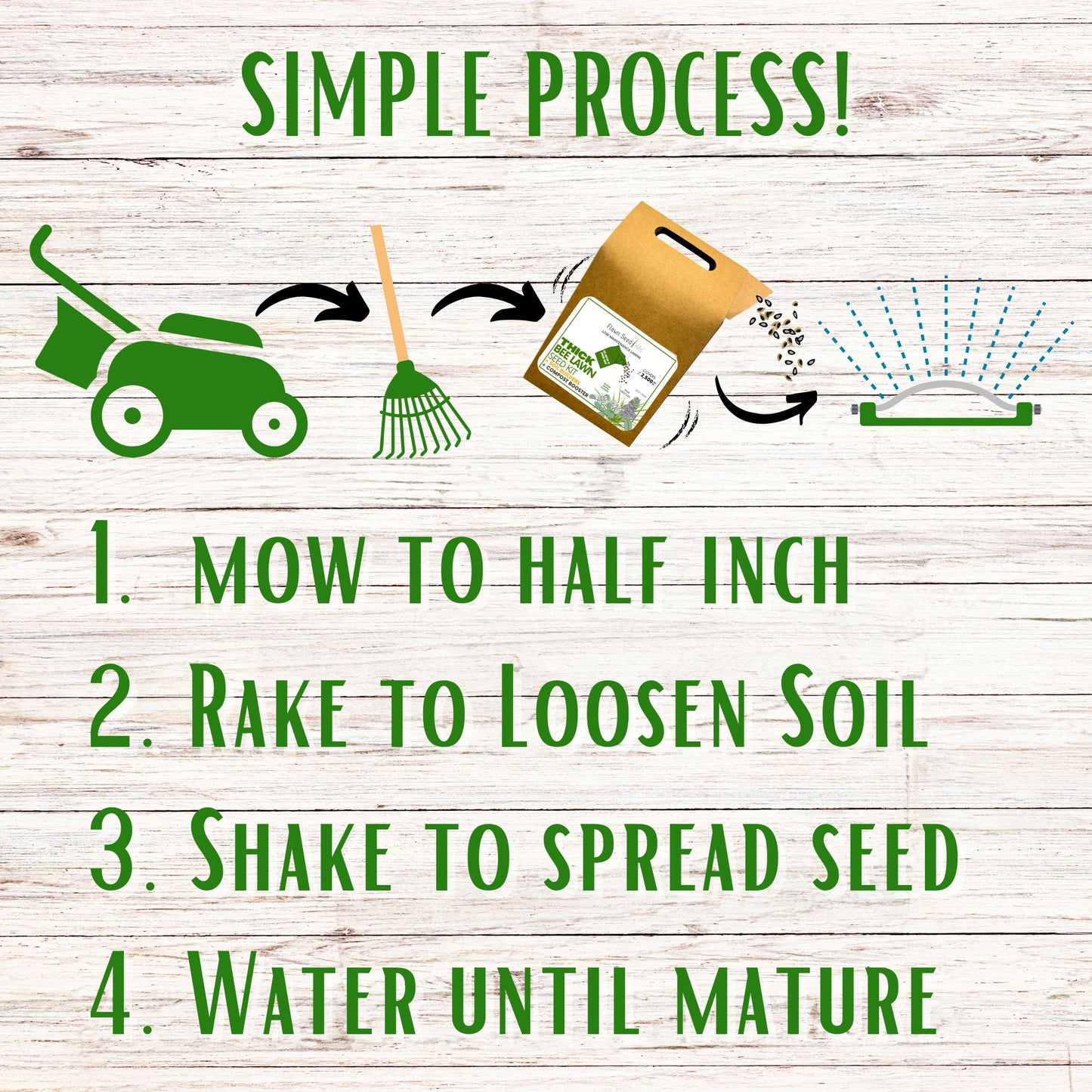 Thick Bee Lawn Seed Kit Eco-Spread Carton