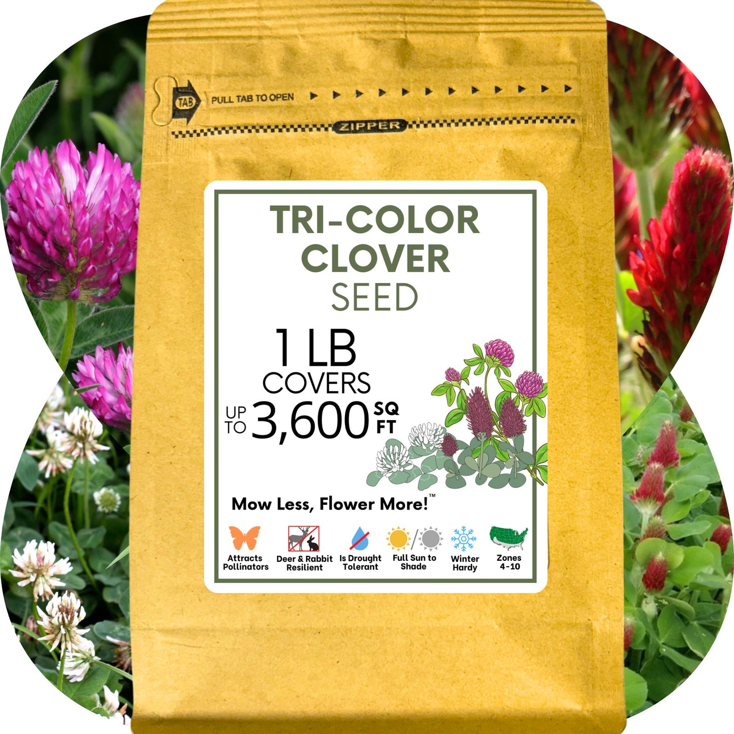 Tri-color clover seed packet with a label on a background of clover plants.