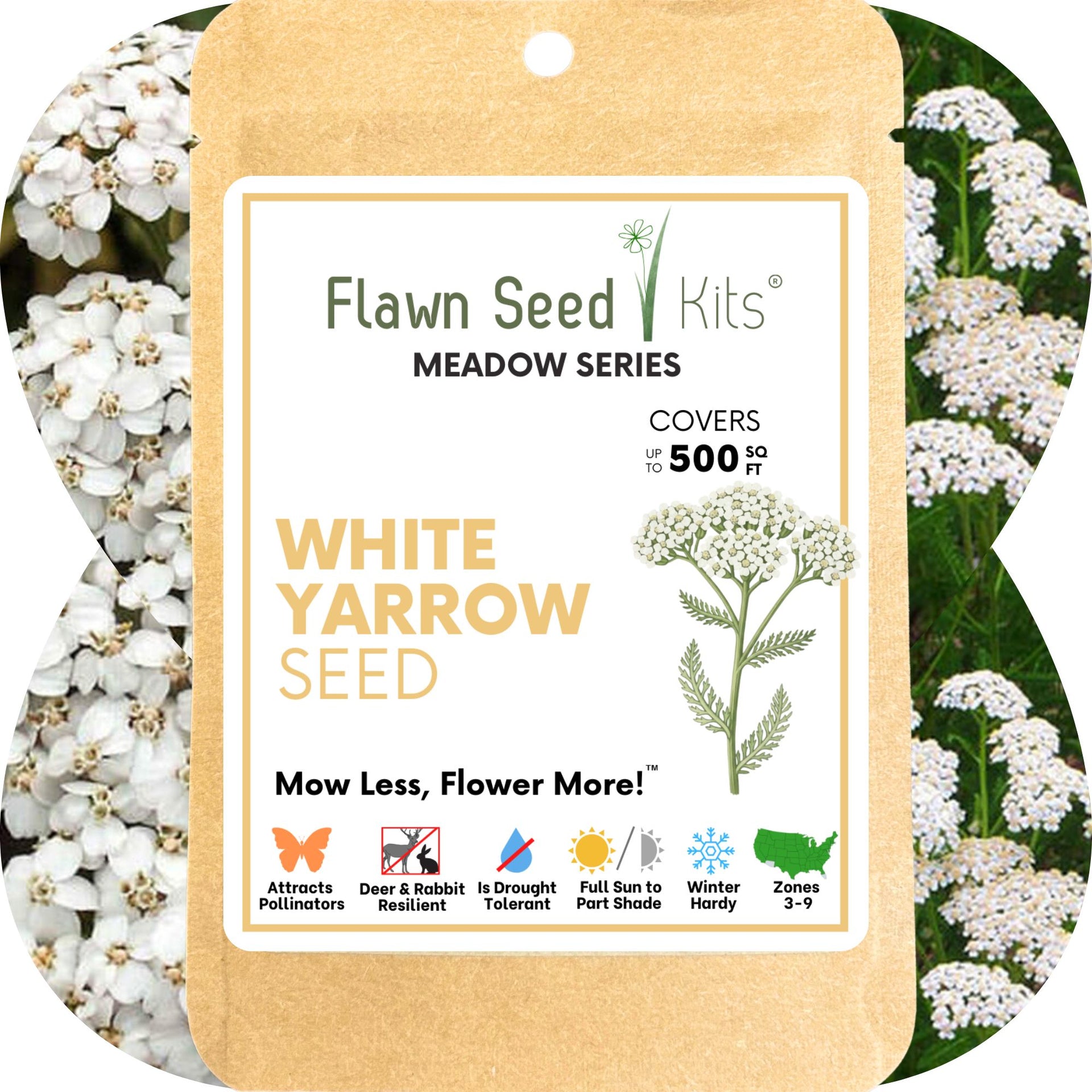 White Yarrow Seed Pouch 250 SqFt .035 oz
