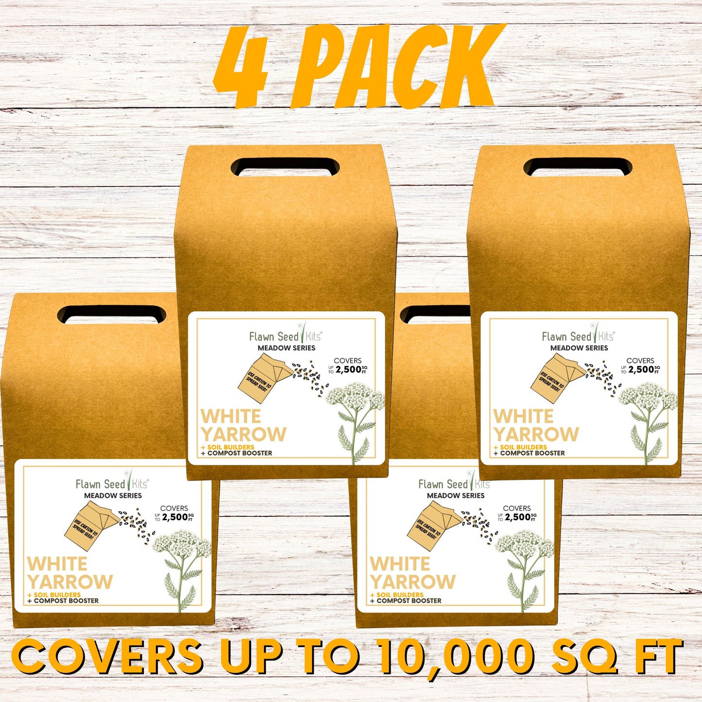 White Yarrow Eco-Friendly Seeding Kit