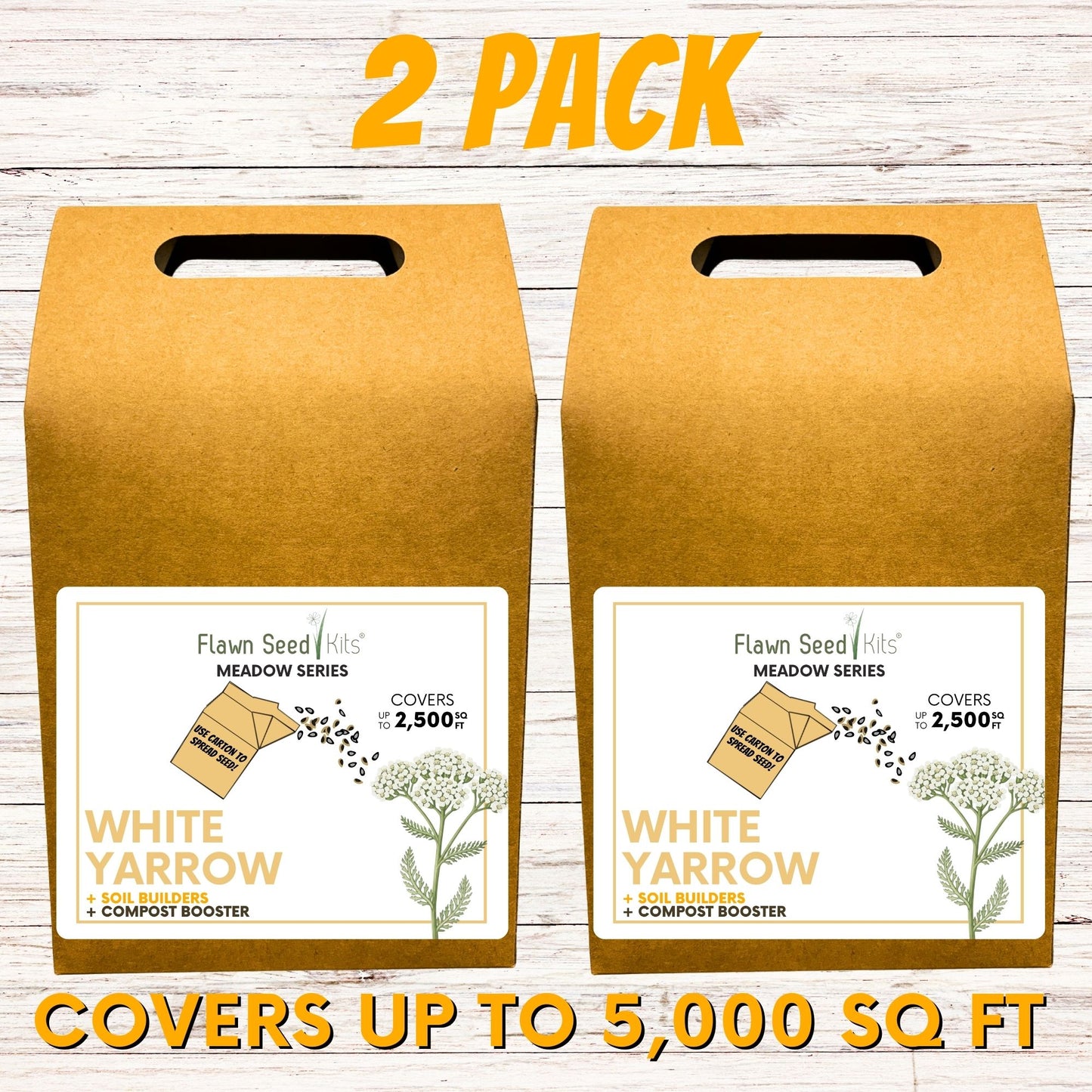 White Yarrow Eco-Friendly Seeding Kit