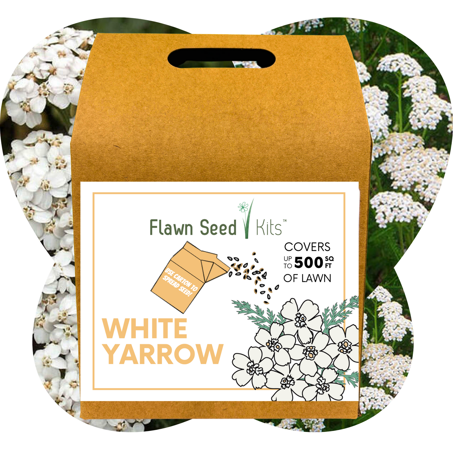 White Yarrow Eco-Friendly Seeding Kit