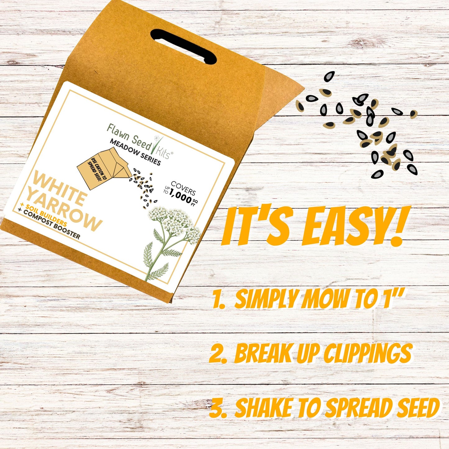 White Yarrow Eco-Friendly Seeding Kit