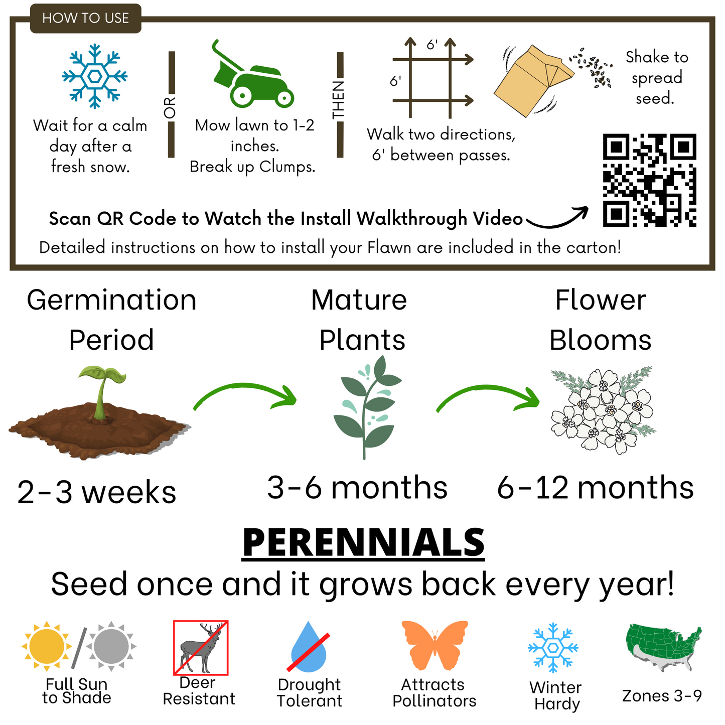 White Yarrow Eco-Friendly Seeding Kit