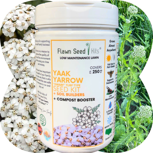 Yaak Yarrow 'Turf-Type' Easy Spread Shaker