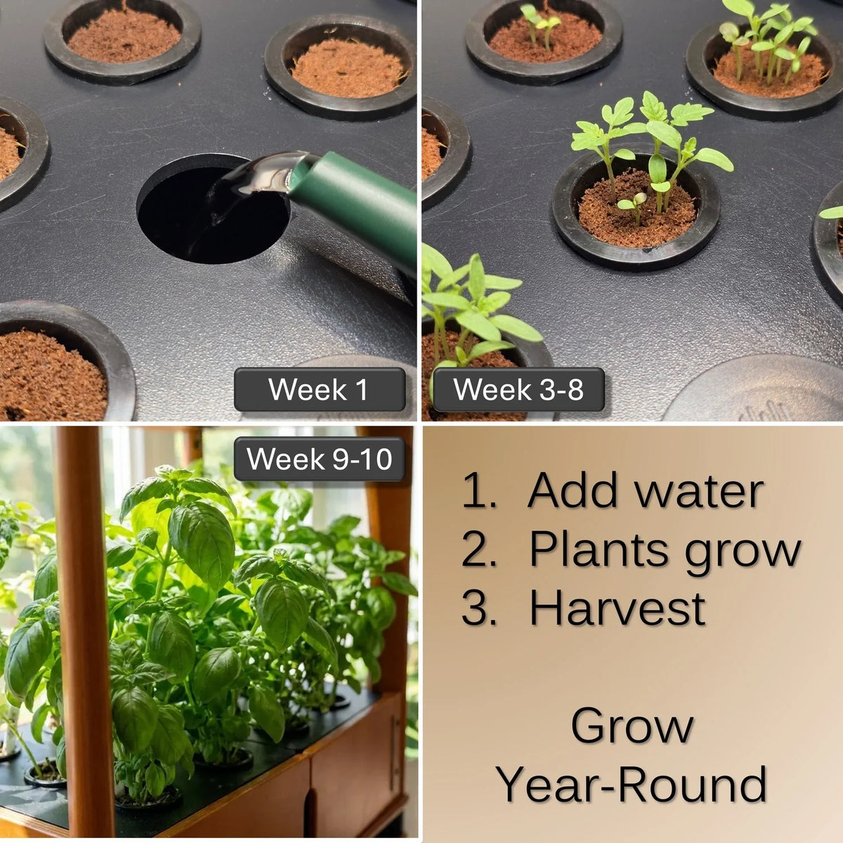 Chef’s Organic Set - Hydroponic Bundle