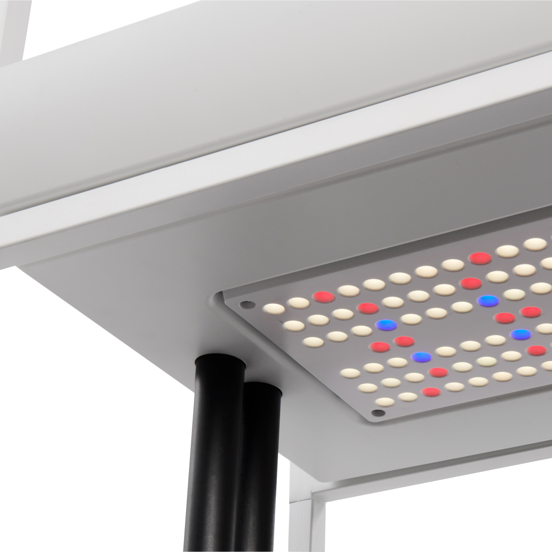 The Rise Extension 3